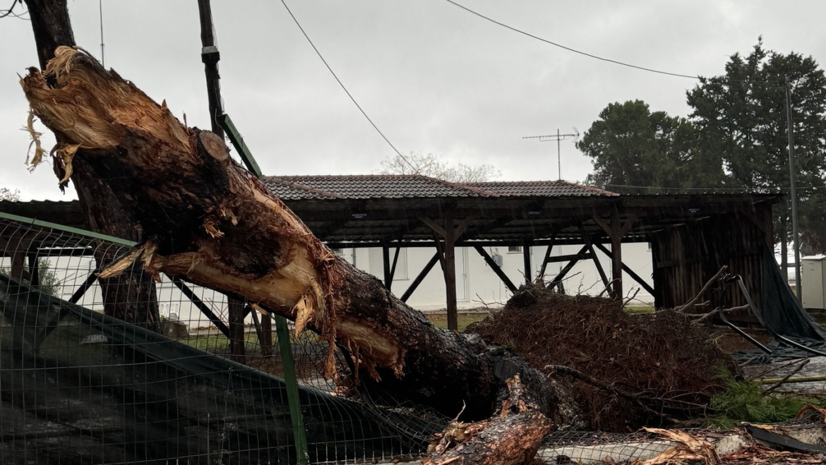 Προσωπικό και όλα τα μηχανήματα έργου του Δήμου επιχειρούν στην αποκατάσταση των προβλημάτων λόγω των ισχυρών ανέμων και της έντονης βροχόπτωσης – Προβλήματα στην ηλεκτροδότηση – Έκκληση στους πολίτες να περιορίσουν μετακινήσεις στις απολύτως απαραίτητες