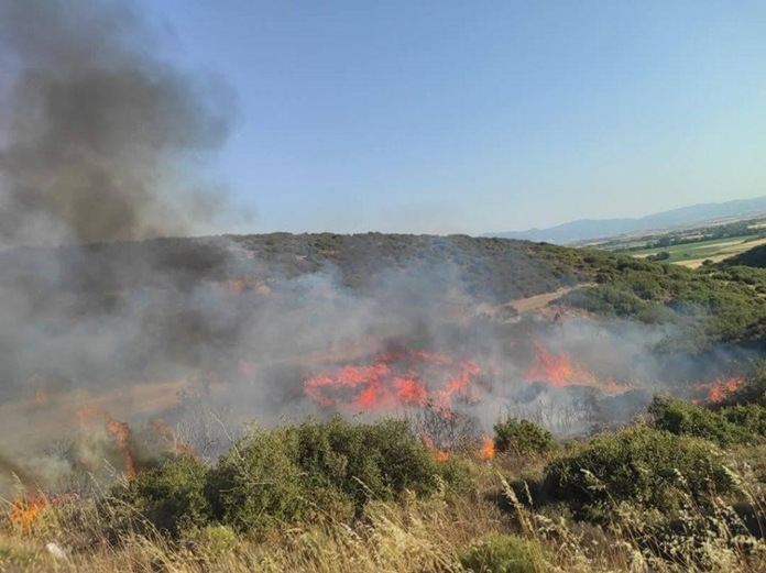 Δελτίο Τύπου Αντιπυρικής