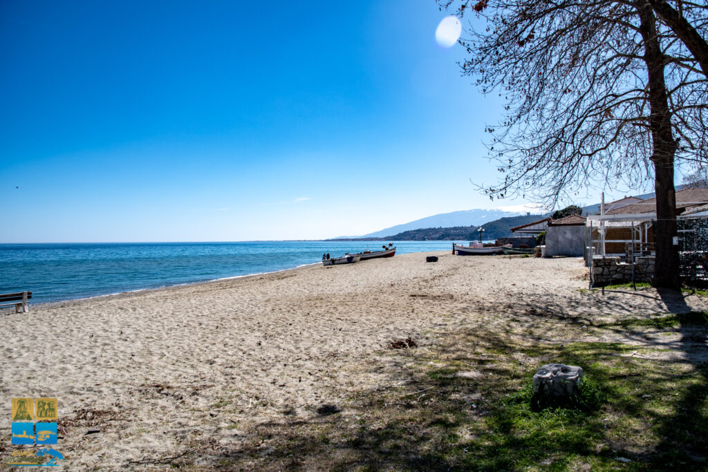 Παραλία Σκοτίνας