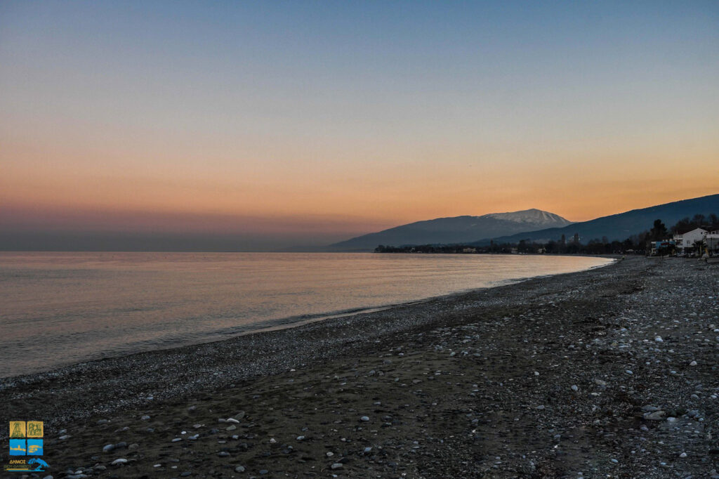 Λεπτοκαρυά