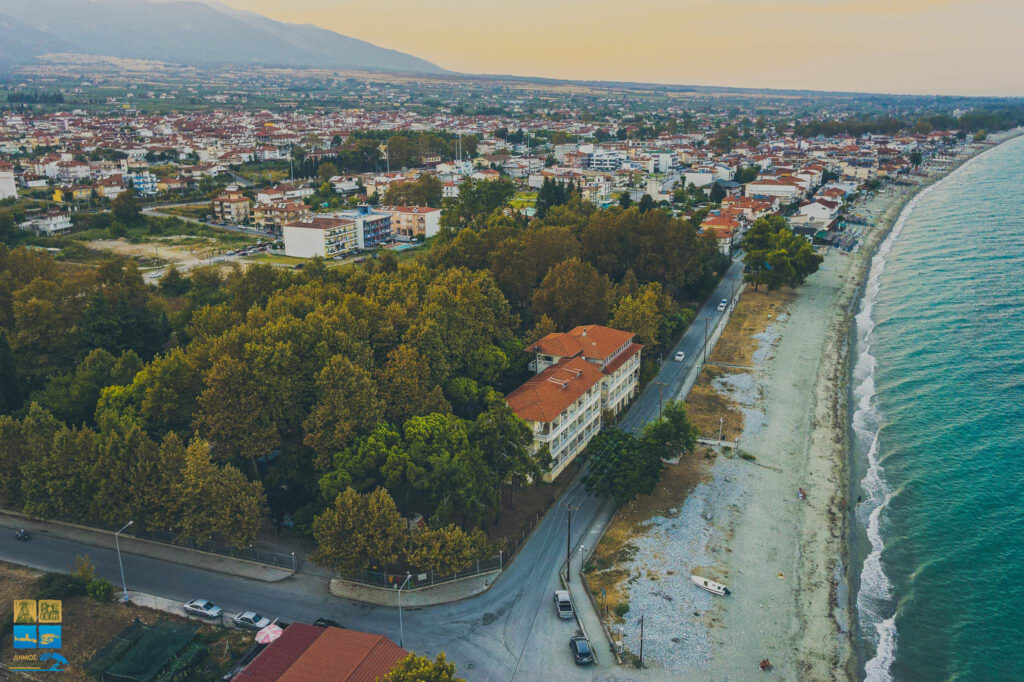 Λεπτοκαρυά